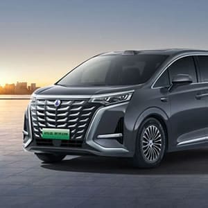 騰勢 D9 商務車