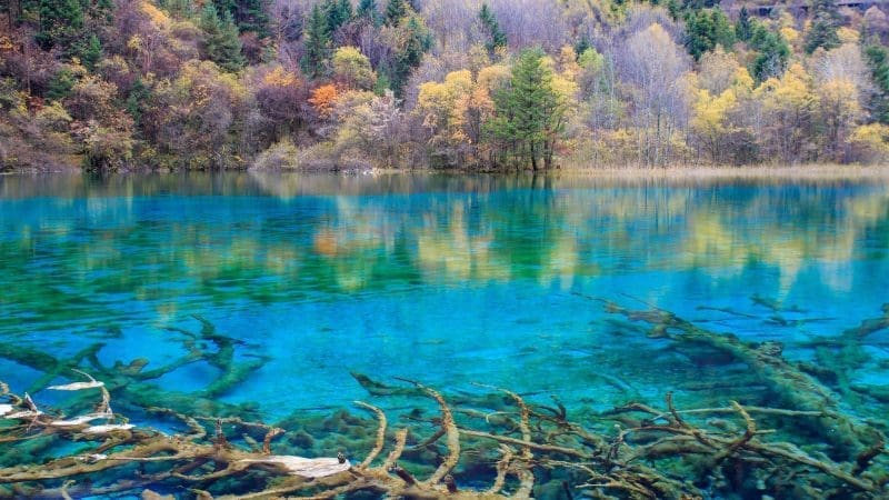 九寨溝怎麼玩最順？｜九寨溝一日遊行程攻略，教你避開人潮輕鬆遊