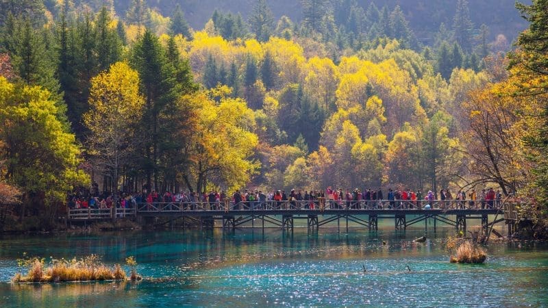 九寨溝自由行交通選擇 與 公交車停駛後的避坑指南